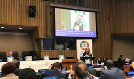 Speech of A/Minister of Health Dr. Ulana Suprun at the High Level Meeting on Ending Tuberculosis, the 73rd session of the UN General Assembly (As Delivered)